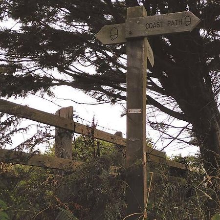 伊尔弗勒科姆The Tempest, Sea Views, Coastal & Rural Walks.公寓 外观 照片
